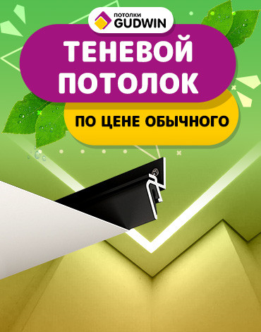 Теневой потолок по цене обычного